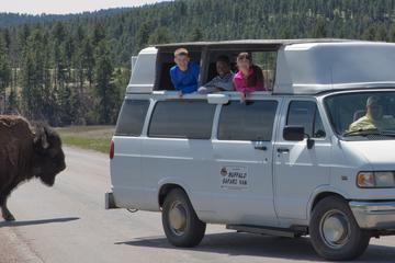 South Dakota Activity from Viator