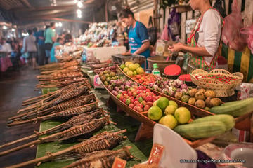 Laos Activity from Viator