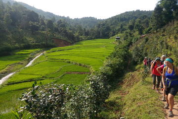 Republic of the Union of Myanmar Activity from Viator