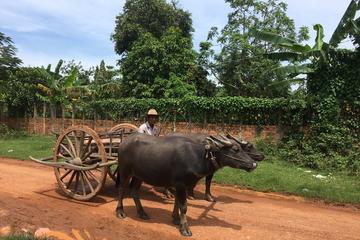 Cambodia Activity from Viator