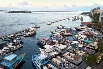 Maldives Activity from Viator